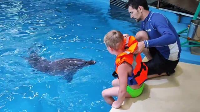 Катание на дельфинах. Нижегородский дельфинарий.
