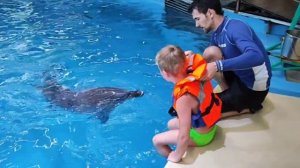 Катание на дельфинах. Нижегородский дельфинарий.