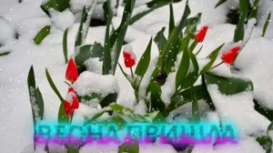 Футаж. Весна пришла 21