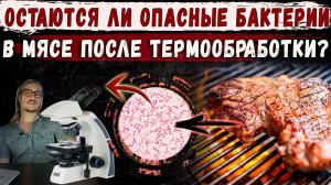 Остаются ли опасные бактерии в мясе после термообработки?