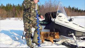 СОРОК ОКУНЕЙ С ОДНОЙ ЛУНКИ ТОЛЬКО СНЯТСЯ / РЫБЫ ПОДОЛЬДОМ НЕ ВИДАТЬ / РЫБАЛКА СО ЛЬДА 2026.