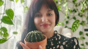 Монстера альба. Черенкую и даю новую жизнь.