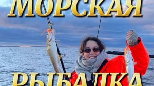 Морские прогулки в Териберке