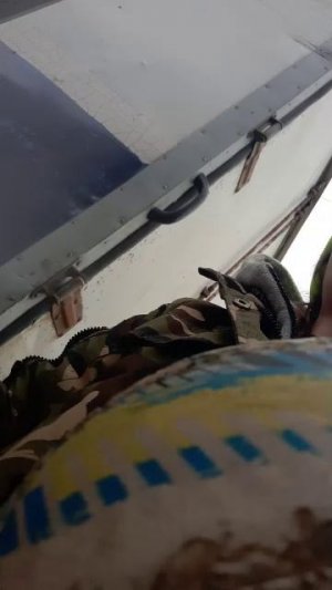 у друга др. залетай