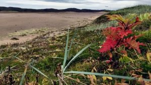 По тундре до Баренца