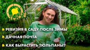 Пережили ли растения суровую зиму? | Когда сажать рассаду? | Как ухаживать за тюльпанами? | Дача