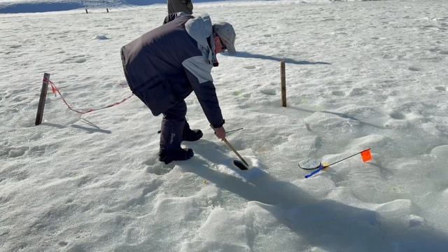 Онлайн с водоема