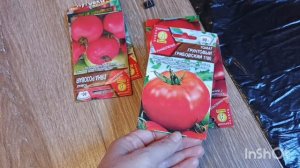 Какие посеяла ещё томаты . Раннеспелые сорта .