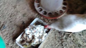 ДЕРЕВЕНСКАЯ ЖИЗНЬ 🏡🏡🏡