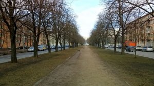 Хмурый полдень