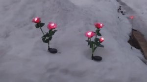 ✅️Что купила и ответы на вопросы.