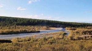 Верховье реки Лемва. Приполярный Урал.