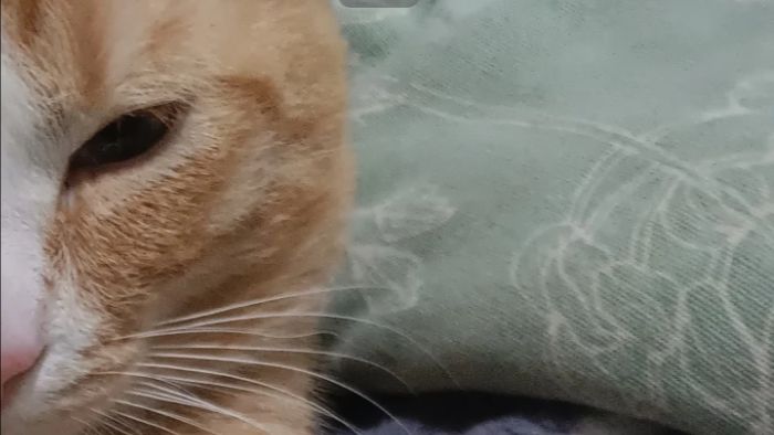 старое видео моего прошлого акка - Boba| Orignail