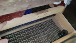 Пятничное. Урожай в курятнике