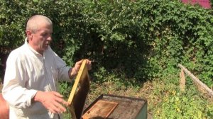 Солнечная воскотопка, рамки на 270мм(узкая верхняя планка, тележка для  ульев.(архив2020г)