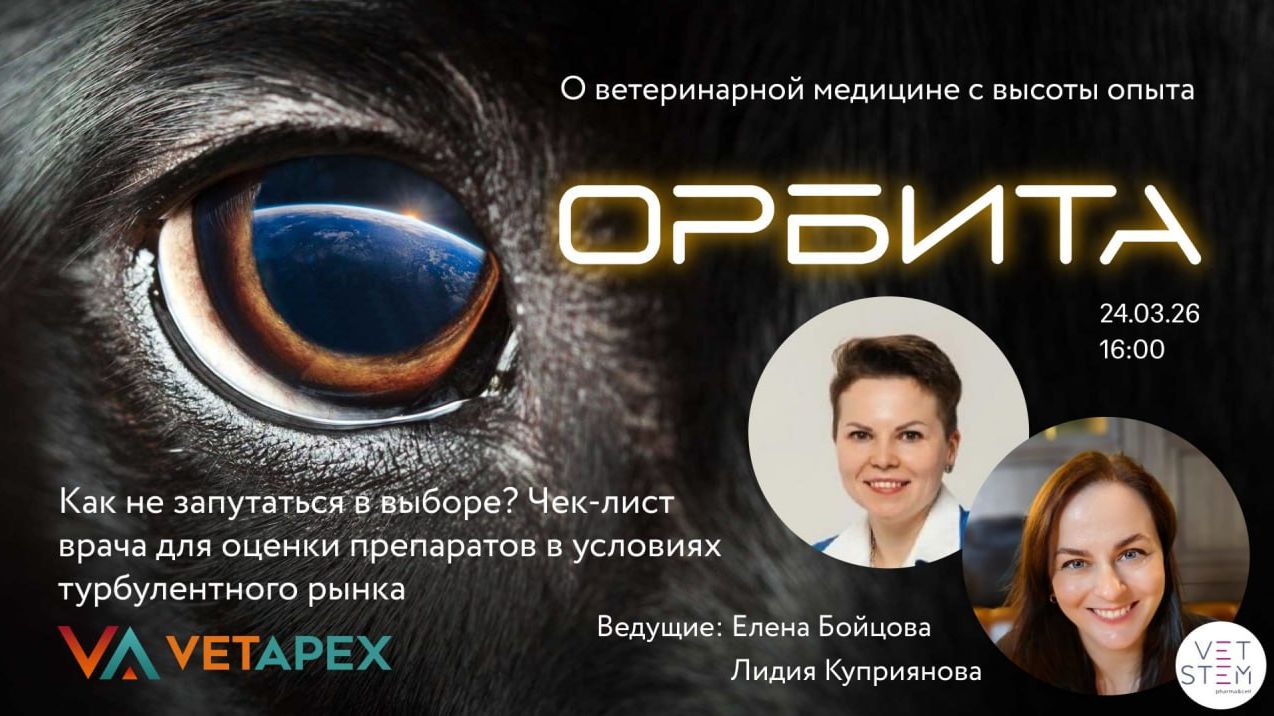 Как не запутаться в выборе? Чек-лист врача для оценки препаратов в условиях турбулентного рынка