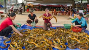 Продаю много угрей на деревенском рынке — покупаю новых утят для фермы.