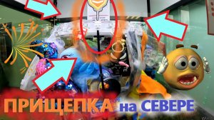 Автомат ПРИЩЕПКА на СЕВЕРЕ РОССИИ!!! ВЫИГРАЛ 2 приза ПОДРЯД в автомате ПРИЩЕПКЕ в Кировске! Выпуск 2