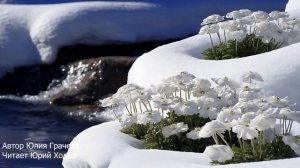 Закончились суровые морозы! Автор Юлия Грачева. Читает Юрий Ходжа
