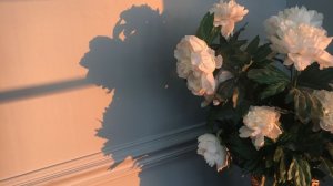 Ссылочка на канал в описании 🎀