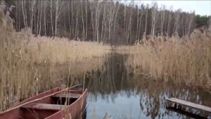 ПИКНИЧОК НА БЕРЕГУ. ЩУКА УПЛЫЛА.