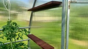 56-Дача..новые полочки в теплице.29.06.22.