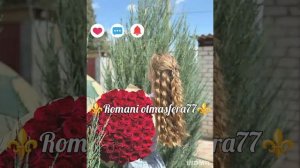 👑✨Новая Цыганская песня ✨👑⚜️2026⚜️ Лезгинка ⚜️ ашунэнти пэ зорэс 🎵🎤🗣️🫶 Не забудьте подписаться