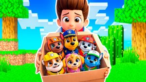 ПРИЮТИЛ ВСЮ КОМАНДУ ЩЕНЯЧИЙ ПАТРУЛЬ ЗАЧЕМ РАЙДЕР ВЫГНАЛ ИХ ИЗ ДОМА в МАЙНКРАФТ