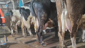 Жизнь на пенсии// Эта вещ очень нужная// Жизнь в деревне//