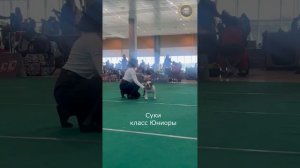 14.03.2026 Республиканская выставка молоссов, Инд.парк "Великий Камень" РБ. Судья Дмитрий Мамонтов