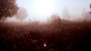 АУРКЕЙДА  35 мм