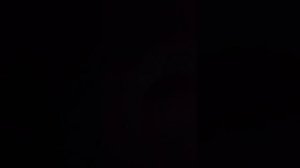 отвечаю на вопросы