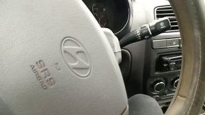 Грызуны руля