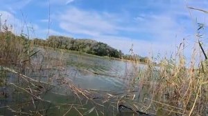 СДЕЛАЛ ПОМОСТ И ТАСКАЮ С НЕГО САЗАНОВ В ДИКОМ ПРУДУ! Рыбалка на поплавок.