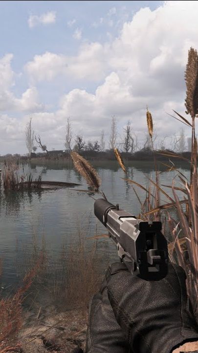 100 Дней Выживания в Stalker Anomaly Escape From Pripyat #100дней #leoner #stalker