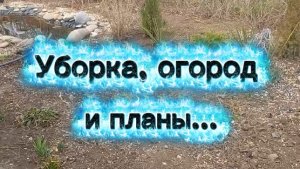 Уборка, посадки, и немного о доме . планы..