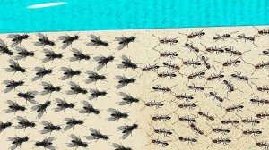 1000 мошек против 1000 муравьев! Кто победит