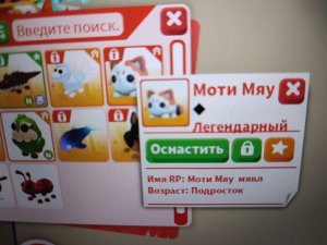 играем в усынови меня