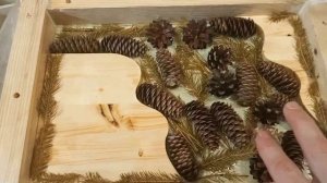 Создание подноса с эпоксидной смолы с шишками.