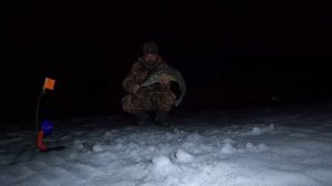 Монстр судак