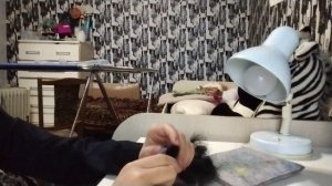 Доваляла кошечку рассказала о своей и рассказала историю