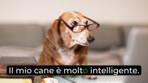 Как сказать про количество. Урок для начинающих. #итальянскийязык #итальянскийязыкснуля #италия