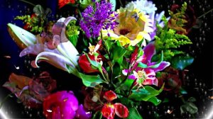 С Днём Рождения! Букеты роз 1 от Киностудии Мудрого Кота Тимофея!