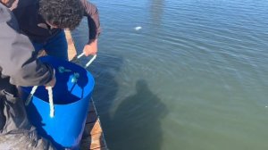 copy_E66EFD60-1285-4C3C-9B12-950E63B925A6