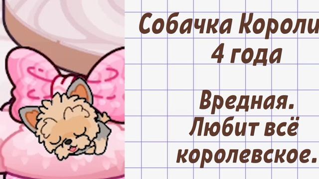 новое интро