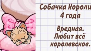 новое интро