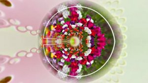 Весна! Очаровательные тюльпаны 3! Киностудия Мудрого Кота Тимофея!