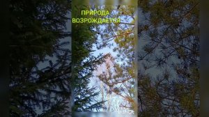 ЗАПОМНИТЬ ЧУДНЫЕ МГНОВЕНИЯ МАРТА. (2026 ГОД.)