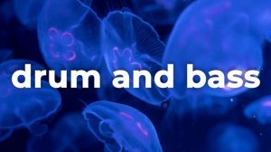 Drum & Bass - nevermind (Original Mix)