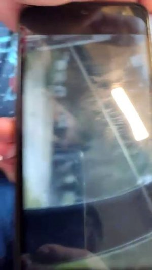 едем в поезде!